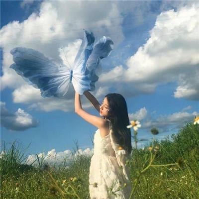 茶乡花正开