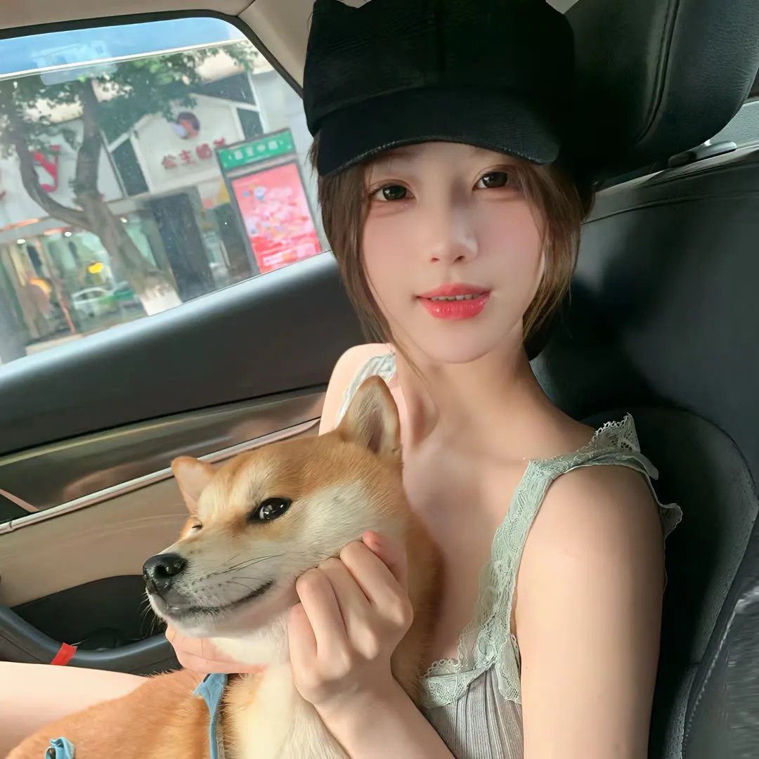 哈兰·科本的庇护所